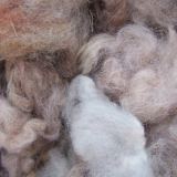 Одеяло Караван легкое