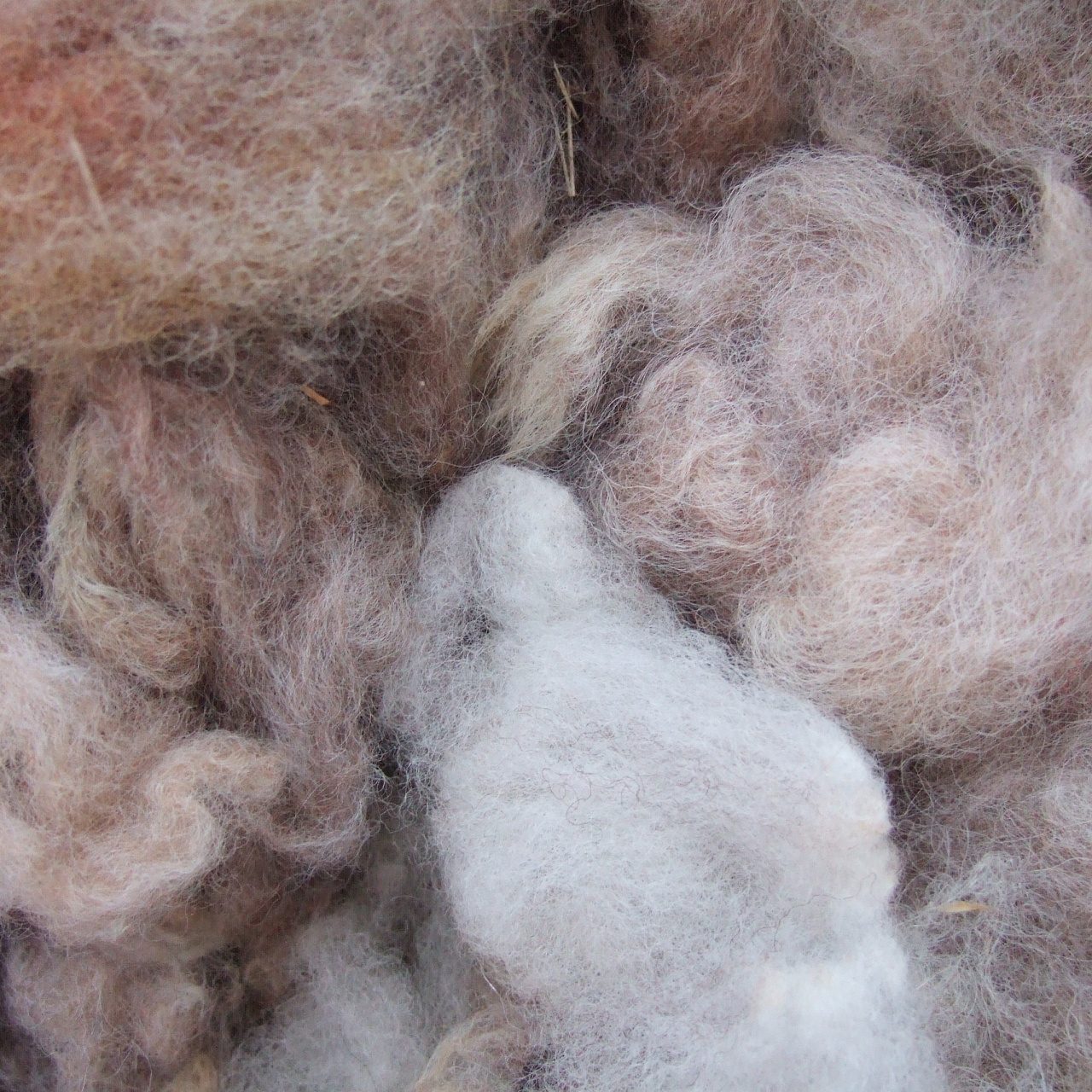 Одеяло Караван легкое