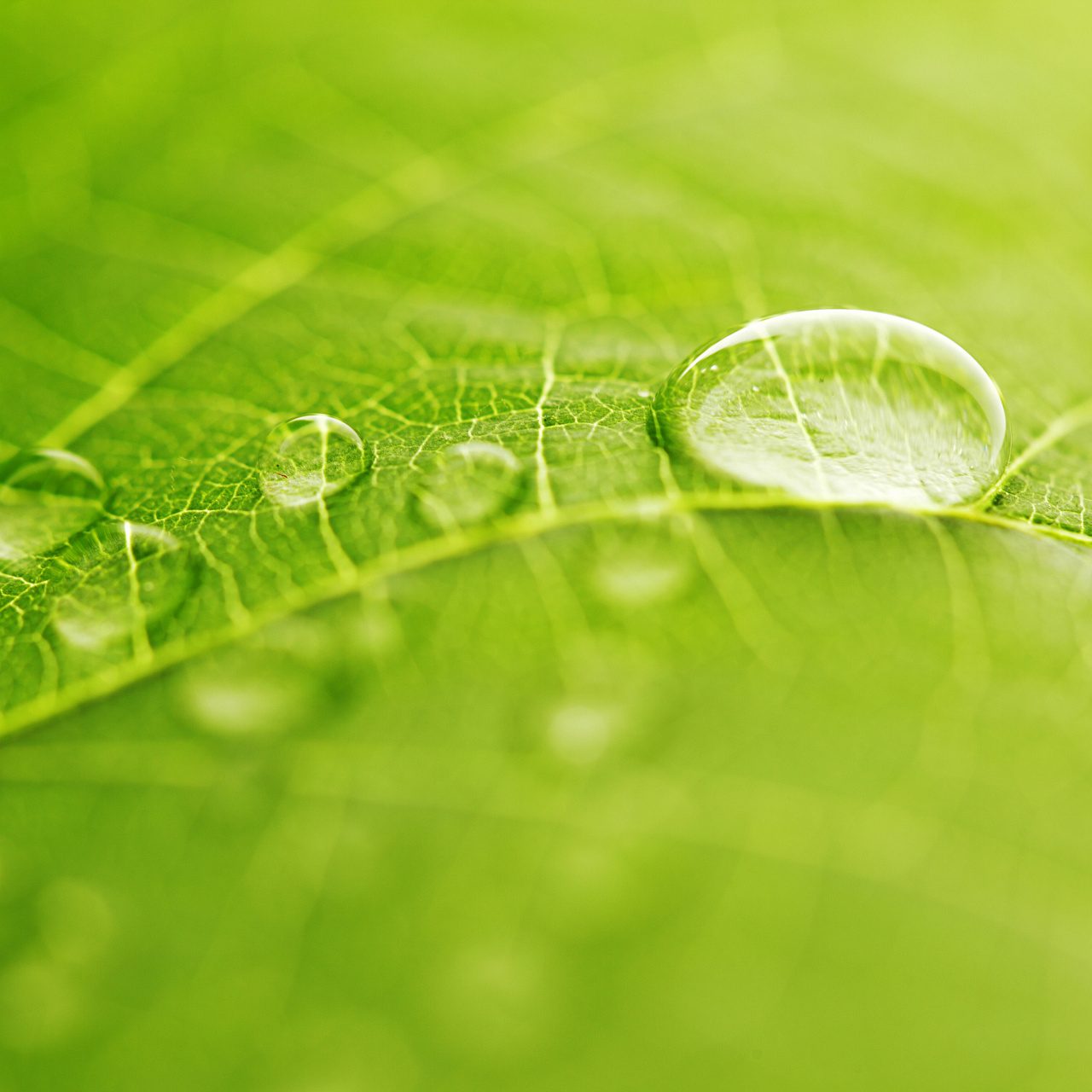 Детская простыня на резинке Аквастоп - Бамбук