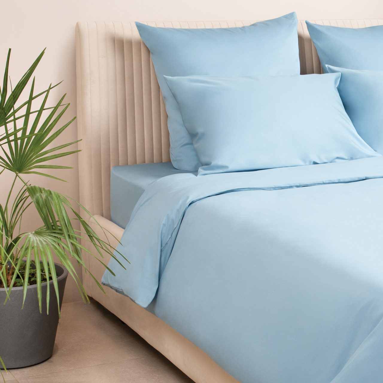 Постельное белье Моноспейс голубой