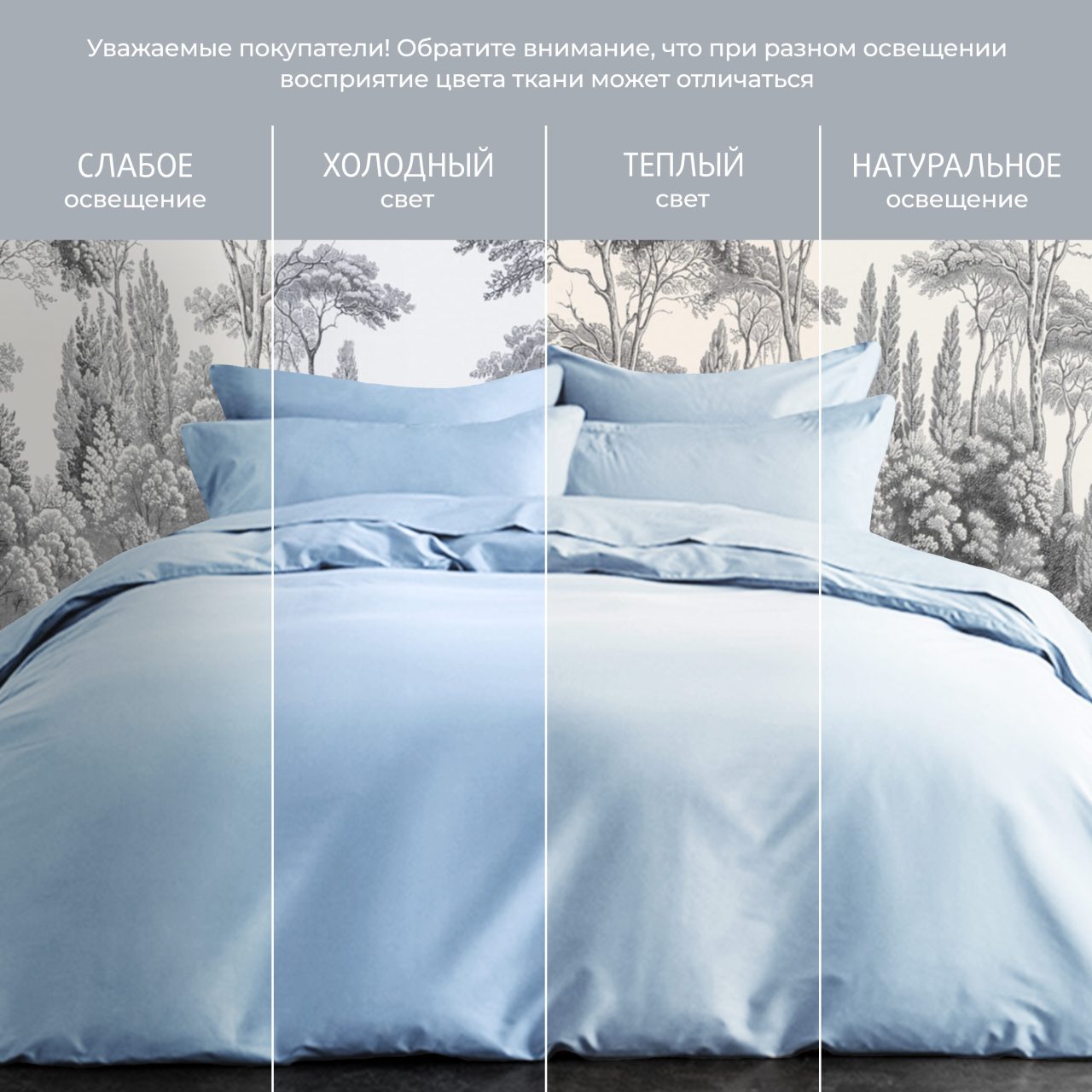 Постельное белье Моноспейс голубой