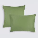 Предмет комплекта Моноспейс зеленый