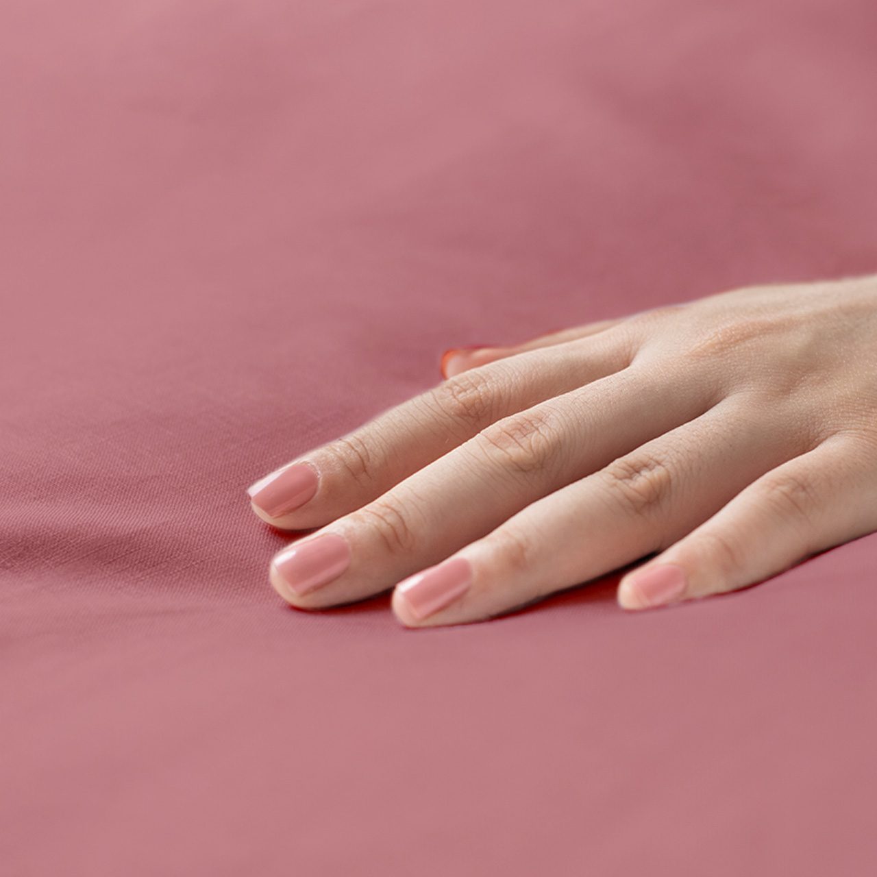 Предмет комплекта Моноспейс бузина