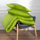 Предмет комплекта Моноспейс салатовый